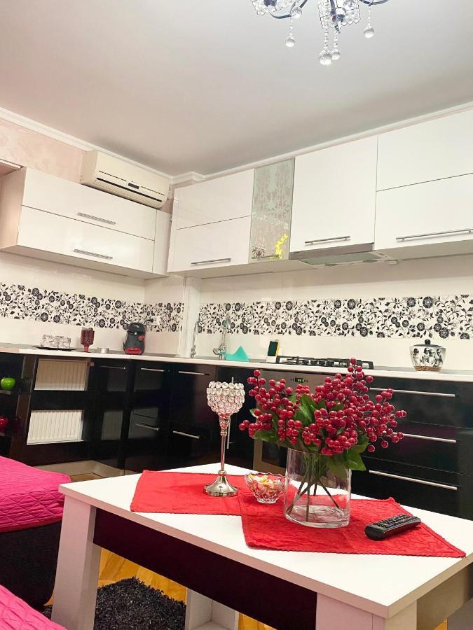 Tribunal Apartament Langa Faleza Dunarii Браїла Екстер'єр фото